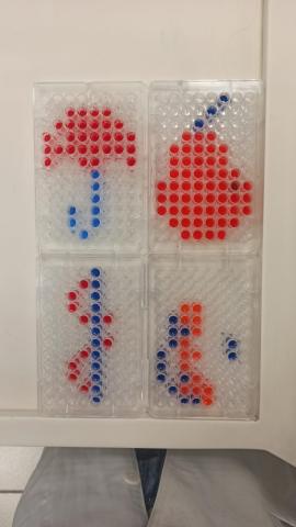 Alunos aprendendo a usar a micropipeta