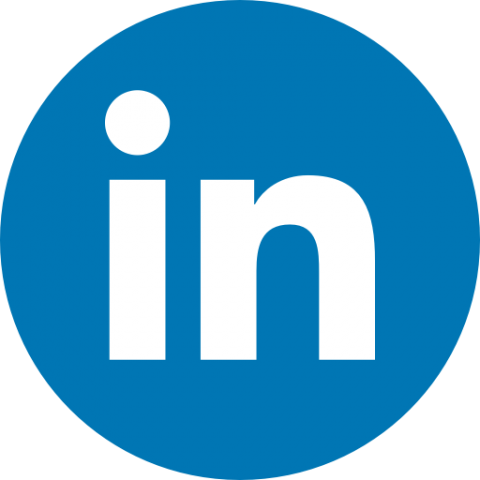 LinkedIn icon