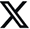 x icon