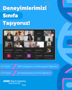 17eylul