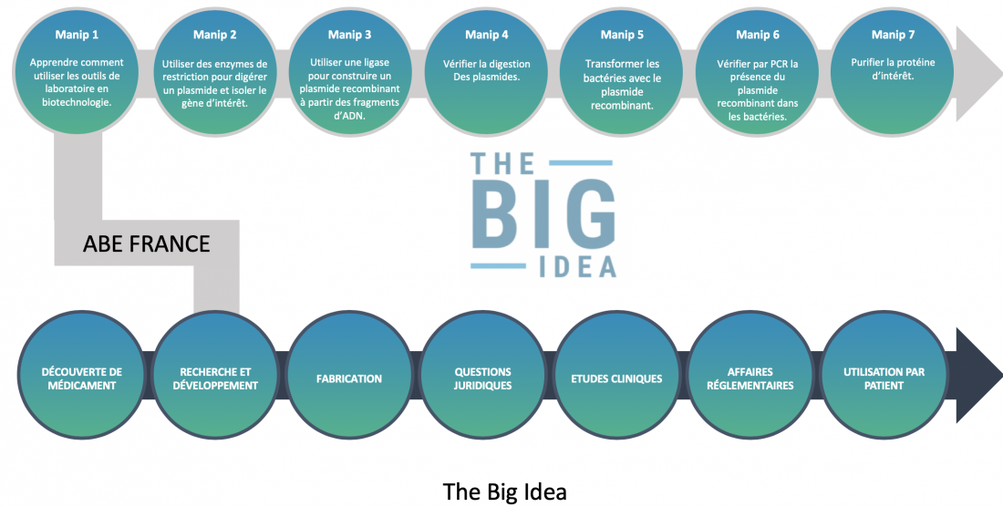 bigidea_vf bigidea_vf