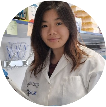 christine Zhu