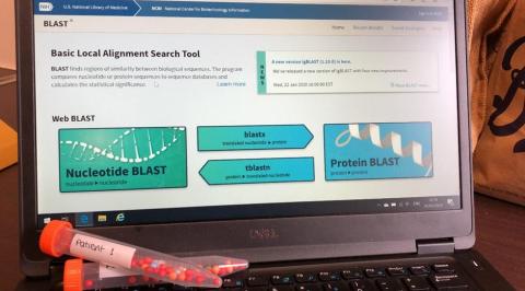Laptop displaying BLAST tool website