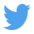 Twitter Logo Small